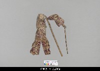 藏品(中國湖北皮影戲偶身)的圖片